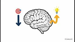 Cognitive Efficiency: The Top Down vs. Bottom Up Pathway(28)