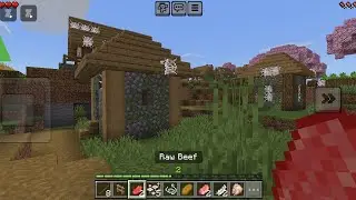 Minecraft gameplay part 1 # Tech Gaming pagla