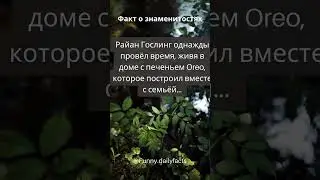 Факты о знаменитостях №1 #shorts #daily #dailyfacts #dailyfact #шортс #факты #знаменитости
