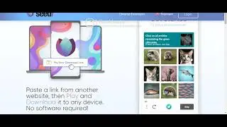 SEEDR account creation