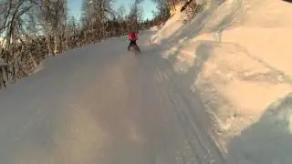 Carbon Sled Parts Can