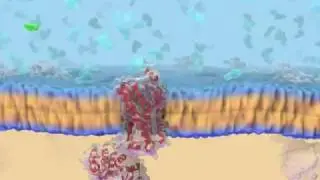 Ludovic's ePMV in C4D_GrahamDemo1.6ao.mov
