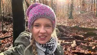 11.11.25 - Przebogaty świat grzyb&oacute;w nadrzewnych! A na deser...