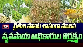 రైతుల పాలిట శాపంగా మారిన వ్యవసాయ అధికారుల నిర్లక్ష్యం | Farmers Problems About Fake Seeds | CVR News