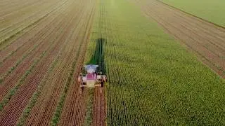 Cutting This Years Oaten Hay with the Massey Ferguson WR9980 - Drone Australia