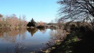 SOUTH VIEW FISHERY SHILLINGFORD ST. GEORGE, EXETER, DEVON