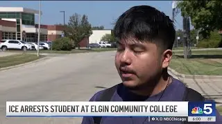 Agents diverted from other entities to aid ICE blitz in Chicago