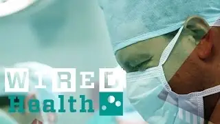 Highlights from WIRED Health 2017 | WIRED Events