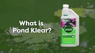 What is Pond Klear?