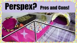 Plexiglass/Perspex for DIY Pet Cages?  Pros and Cons | Squeak Dreams