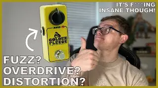 Mythos Golden Fleece Fuzz Sound Samples - Is this the only Drive you will ever need?!