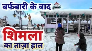 भारी बर्फबारी के बाद Shimla का ताज़ा हाल | Shimla After Snowfall | Shimla Snowfall View #snowfall 