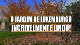 A EXTRAORDINÁRIA BELEZA DO JARDIM DE LUXEMBURGO NO OUTONO! #dicasdeparis #andredegrossi