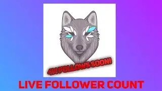 dakotaz LIVE FOLLOWER COUNT: 4M!
