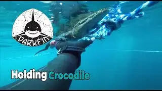 Holding Crocodile | Darkfin Gloves | Freediving