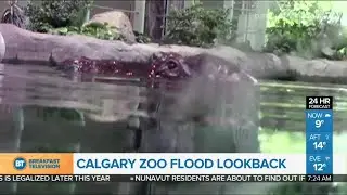 Flood look back at the Calgary Zoo
