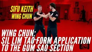 Wing Chun: Sil Lim Tao Form Application to the Gum Sao Section