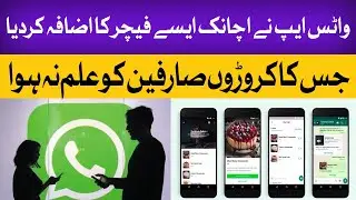 WhatsApp Best New Features and Updates in 2022 | Daily Hype