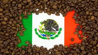 History of Coffee | Mexican Coffee | shade-grown Arabica coffee in Veracruz, Mexico
