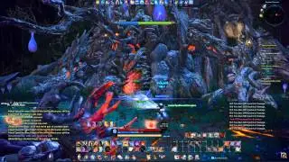 Tera Gunner 1man Dungeon