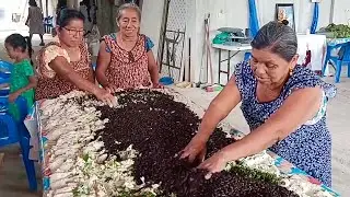 Preparativos para la fiesta Patronal de San Marcos desde Nigromante Veracruz