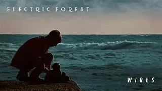 Electric Forest - 