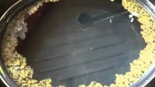 the tear film lipid layer.mov