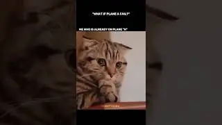 what if plan A failed? 🥲 #shorts #like #subscribe #trend #fun #explorefeed #superlike