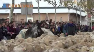 LA MESTA ARÉVALO 2014/TELEAREVALO/CNA.TV