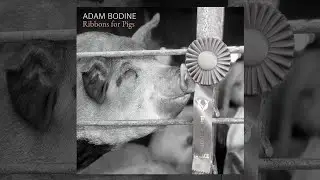 Adam Bodine - 