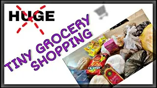 Indian groceries in Tbilisi, Georgia | where & what we bought | Triple Ka Trouble | VLOG 6 |