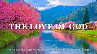 The Love Of God: Piano Instrumental Music With Scriptures & Flower Scene 💮 Peaceful Praise