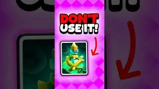 SECRET Vines Tips You NEED to Know?!