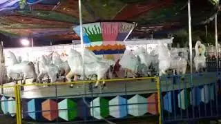CARROUSEL BIG  Rate 25 LAC