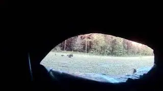 Wisconsin turkey hunt 2023