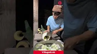 Preparing Bamboo Shoots: Traditional Asian Cooking Ingredient