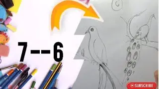 Birds🐦🦚 Drawing by 7 & 6 number. birds Draw by drawing class. #drawing_class