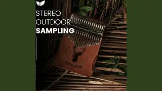 Open-Air Stereo Sampling