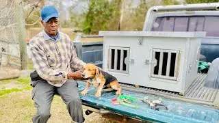Охота на кроликов в Южной Каролине и Северной Каролине за один день!!! | Anderson&rsquo;s Beagles #Нрав...