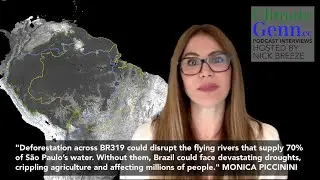 Highway to Hell: How BR319 Threatens the Amazon + Undermines Brazil’s #cop30  Credibility