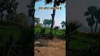 Gaha tagi haba thanda pani behtrin pedo ke chhanv hai 🏚️👍🥰💝💞💯🎊💯💯🥰🥰🥰🥰🥰🥰🎊🎊🌾🌾🌾🎊🌾🎊🌾🌾🌾🔥🔥🔥🔥🔥🔥🔥