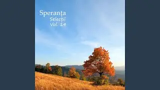 Te-ai născut