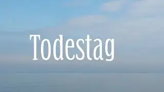 Ssdestiny - Todestag (/27 official music video)