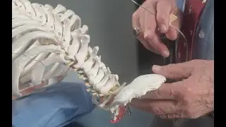 PainCast Preview: Dr. Gabor Racz, Cervicogenic Headache