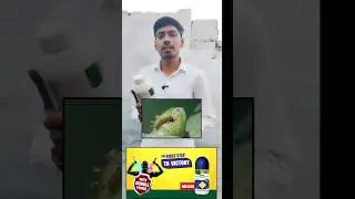 Sumitomo messi insecticide #short #farming