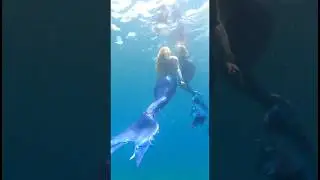 Mermaid life is back soon 🩵💦 #mermaid #sirene #sirena #sereia #mermaiding #mermaidtail #underwater