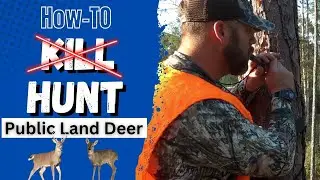 The Untold Truth: What Hunting TV Shows Won't Show You About Public Land Adventures