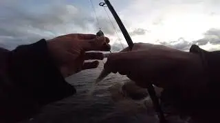 JANUARY IS A SPECIAL MONTH TO BE FISHING