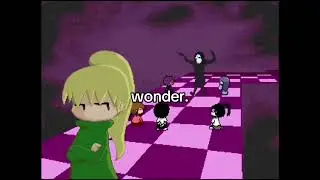 wonder