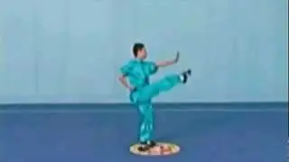 Wushu Chang Quan 2012 Compulsary Form 第三套国际武术长拳